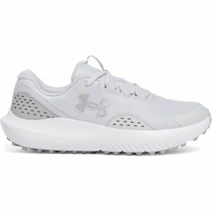 Under Armour SURGE GOLF Încălțăminte golf bărbați, gri, mărime 44 imagine