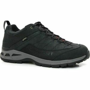 GARMONT TRAIL BEAST GTX Încălțăminte de trekking pentru bărbați, negru, mărime 43 imagine