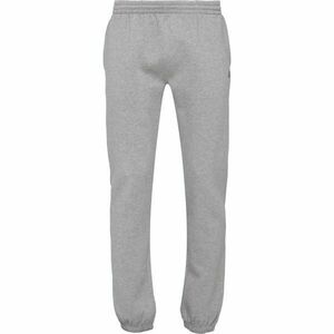 Russell Athletic SMALL LOGO Pantaloni de trening pentru bărbați, gri, mărime imagine