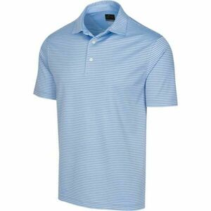 GREGNORMAN PROTEK ML75 STRIPE POLO Tricoul polo pentru bărbați, albastru, mărime XXL imagine
