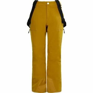 FUNDANGO TEAK Pantaloni de schi bărbați, galben, mărime imagine