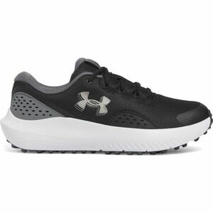 Under Armour SURGE GOLF Încălțăminte golf bărbați, negru, mărime 42.5 imagine