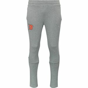 Puma TEAMEVOSTRIPE PANTS Pantaloni trening bărbați, gri, mărime imagine
