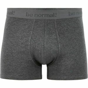 CELIO BINORMAL Lenjerie intimă bărbați, gri închis, mărime imagine