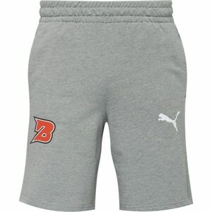 Puma TEAMGOAL CASUALS SHORTS Pantaloni scurți bărbați, gri, mărime imagine