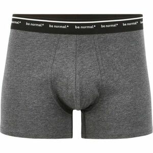 CELIO BINORMAL1 Lenjerie intimă bărbați, gri închis, mărime imagine