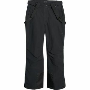 4F TROUSERS SKI Pantaloni de schi bărbați, negru, mărime imagine