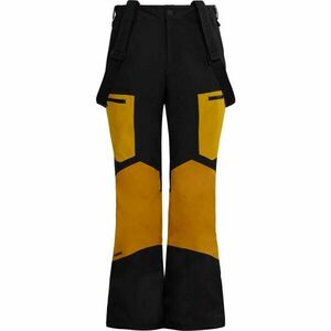 FUNDANGO NEXARA ECO 3L Pantaloni de schi damă, negru, mărime imagine