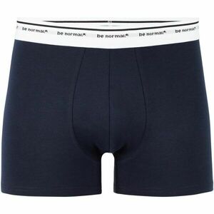 CELIO BINORMAL1 Lenjerie intimă bărbați, albastru închis, mărime imagine