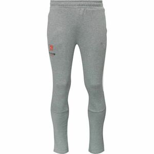 Puma TEAMEVOSTRIPE PANTS Pantaloni trening bărbați, gri, mărime imagine