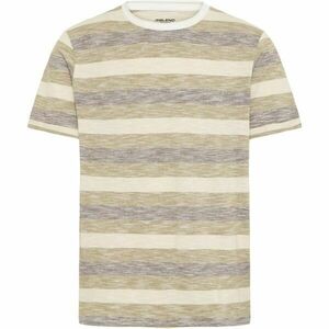 BLEND BHJELANI Tricou pentru bărbați, bej, mărime imagine