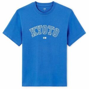 CELIO JEOVERDU Tricou pentru bărbați, albastru, mărime imagine