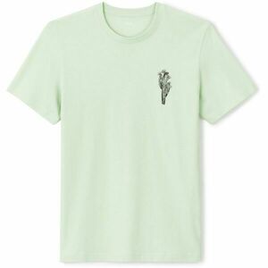 CELIO JEBEACH Tricou pentru bărbați, verde deschis, mărime imagine