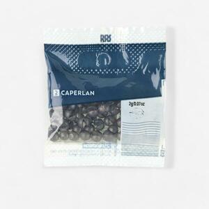 Plumb pescuit imagine