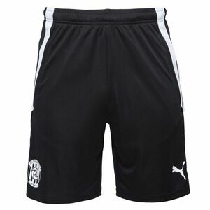 Puma TEAM LIGA TRAINING SHORTS Pantaloni scurți de fotbal bărbați, negru, mărime imagine