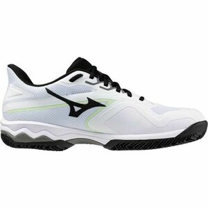 Mizuno WAVE EXCEED LIGHT 2 CC Încălțăminte tenis bărbați, alb, mărime 44.5 imagine