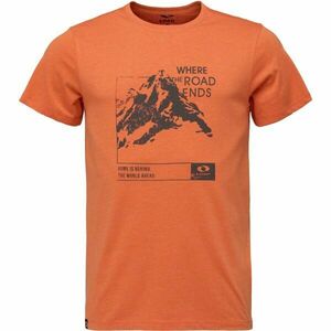 LOAP BERN Tricou pentru bărbați, portocaliu, mărime imagine