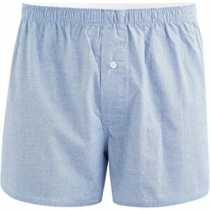 CELIO MICUADRO Lenjerie intimă bărbați, albastru deschis, mărime imagine