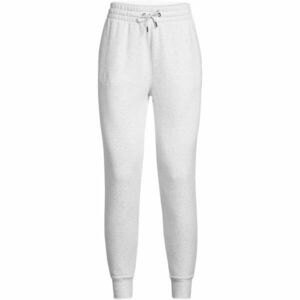 Under Armour ICON FLEECE JOGGER Pantaloni trening femei, gri, mărime L imagine