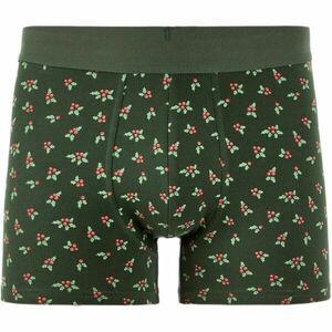 CELIO XMIBOHOLLY Boxeri pentru bărbați, kaki, mărime imagine