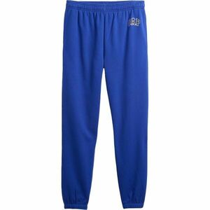 GAP V-HERITAGE LOGO JOGGER SNL Pantaloni sport bărbați, albastru, mărime imagine