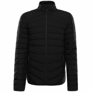 ALPINE PRO RETER Geacă de puf bărbați, negru, mărime imagine