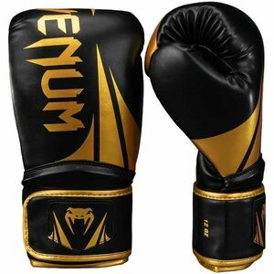 Venum CHALLENGER 2.5 Mănuși de box, negru, mărime imagine