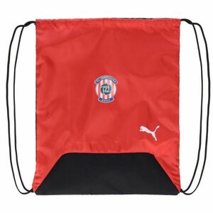 Puma TEAMGOAL GYM SACK Rucsac sport, roșu, mărime imagine