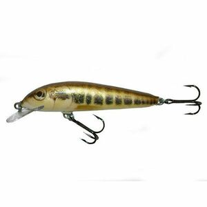 Vobler Salmo Minnow M6F M plutitor 6 cm/4 gr imagine