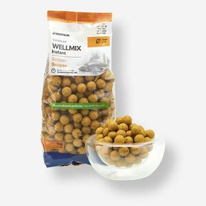 Boilies Pescuit la Crap Wellmix Instant 15mm 1kg Scopex imagine