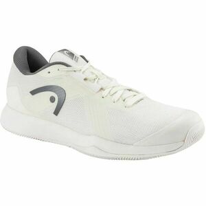 Head SPRINT TEAM 4.0 CLAY Încălțăminte de tenis bărbați, alb, mărime imagine