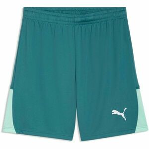 Puma TEAMLIGA 26 SHORTS Pantaloni scurți sport de bărbați, verde, mărime imagine