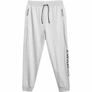 4F TROUSERS CAS Pantaloni de trening pentru bărbați, gri, mărime imagine