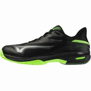 Mizuno WAVE EXCEED COURT CC Încălțăminte de tenis bărbați, negru, mărime 44 imagine