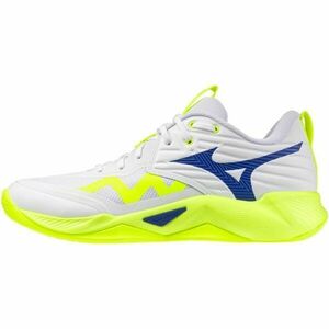 Mizuno WAVE MOMENTUM PRO Încălțăminte de volei bărbați, alb, mărime 44 imagine