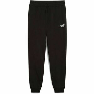 Puma ESSENTIALS 2 COLOR NO1 LOGO PANTS Pantaloni trening bărbați, negru, mărime imagine