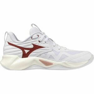 Mizuno WAVE MOMENTUM PRO W Încălțăminte de volei damă, alb, mărime 40.5 imagine
