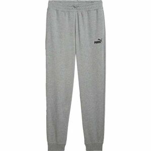 Puma ESSENTIALS NO.1 LOGO SWEAT PANTS TR CR Pantaloni de trening pentru bărbați, gri, mărime imagine