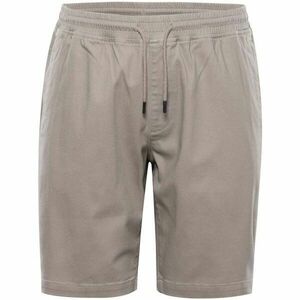 ALPINE PRO WEREQ Pantaloni scurți pentru bărbați, gri, mărime imagine