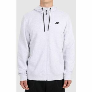 4F SWEATSHIRT LEO Hanorac pentru bărbați, gri, mărime imagine