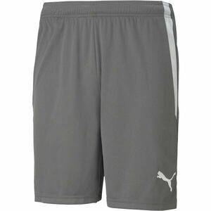 Puma TEAM LIGA SHORTS Șort bărbătesc, gri, mărime imagine