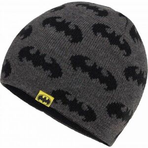 Warner Bros DARK Căciulă de iarnă copii, gri închis, mărime UNI imagine