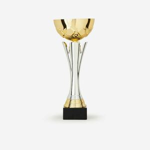 Cupă c535 aur/argint 32 cm imagine