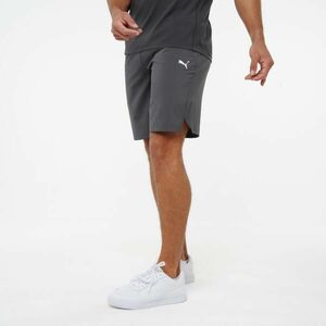 Șort de fitness Puma Active Gri Bărbați imagine