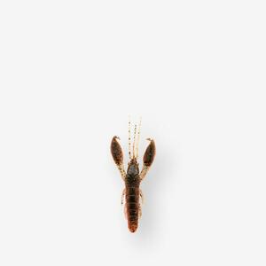 Nălucă flexibilă rac cu atractant YUBARI CRW 2" 5cm YOUNG CRAW imagine