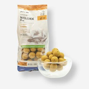 Boilies Pescuit la Crap Wellmix Plus 25mm 1kg Scopex imagine