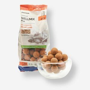 Boilies Pescuit la Crap Wellmix Plus 25mm 1kg Monstercrab imagine