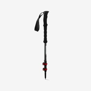 2 bețe drumeție CORTO Fuji Carbon imagine