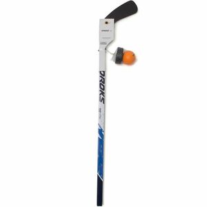 SET HOCHEI 100 imagine