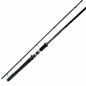 Lanseta Formax Fortis Cast, 2.58m, 40-80g, 2 tronsoane imagine